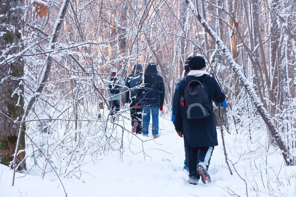上帝的花園。高亞國家公園踏雪記