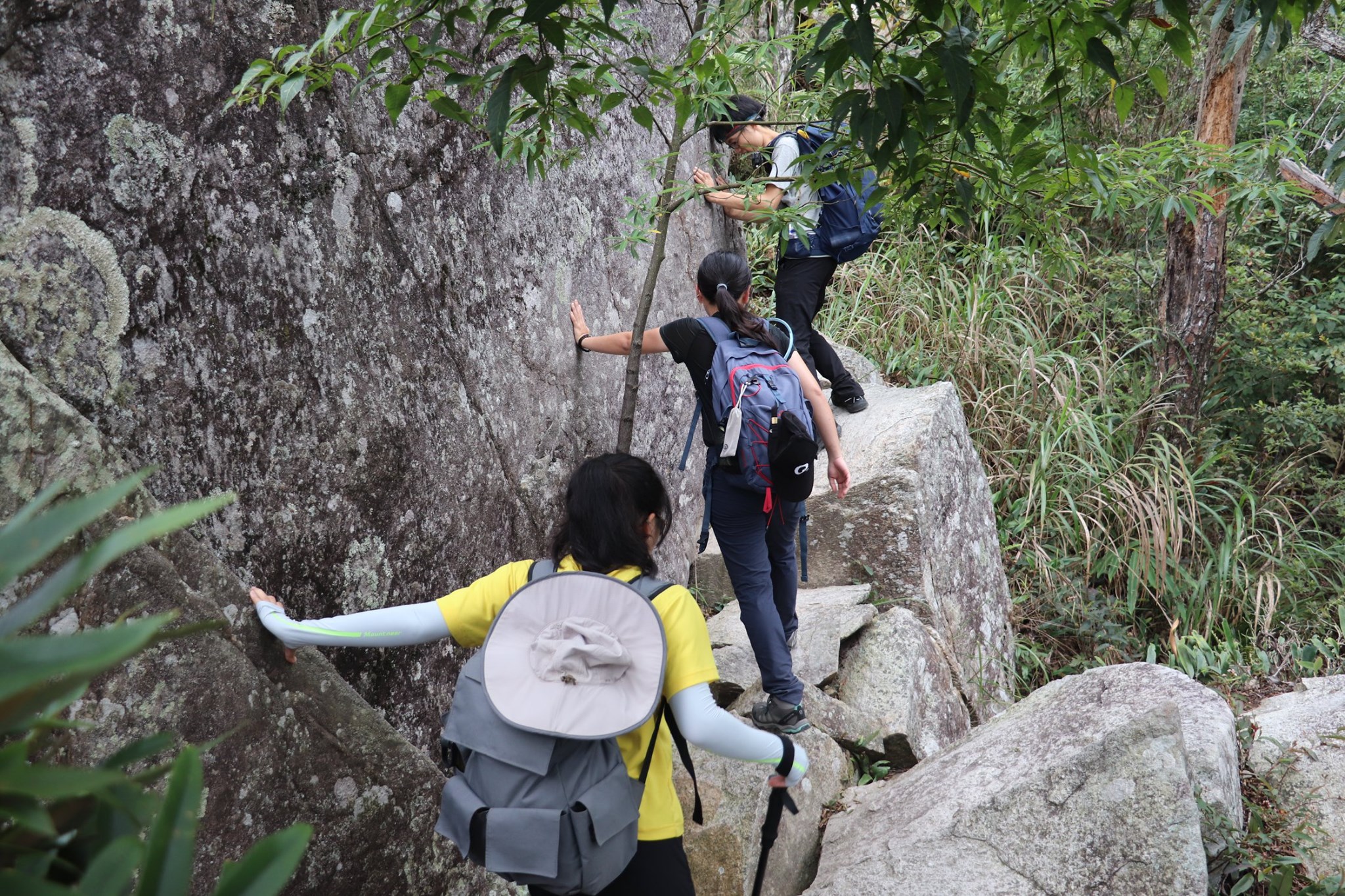 谷關二雄之屋東逆走（鳶嘴捎來未竟）