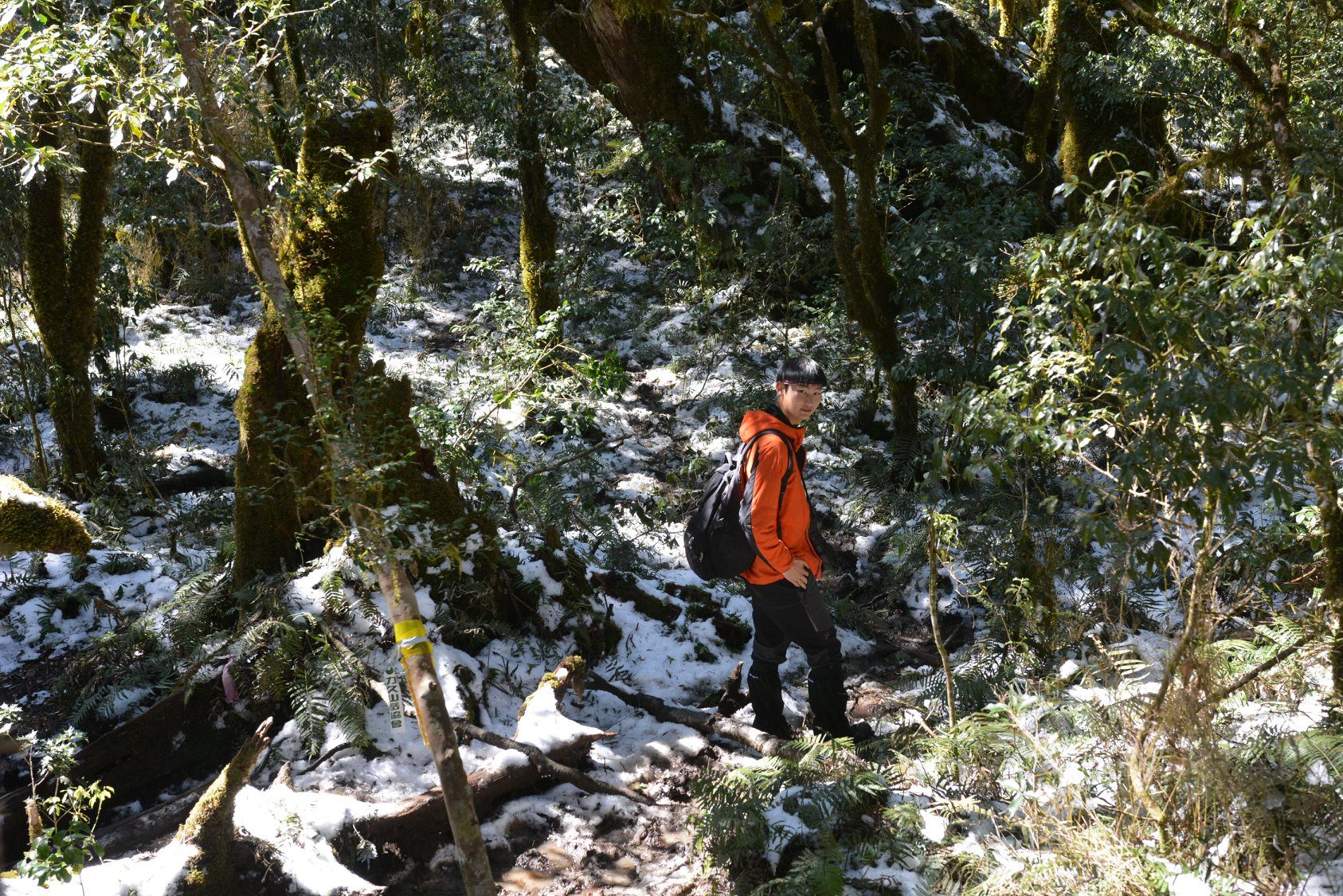 塔曼山雪之漫步