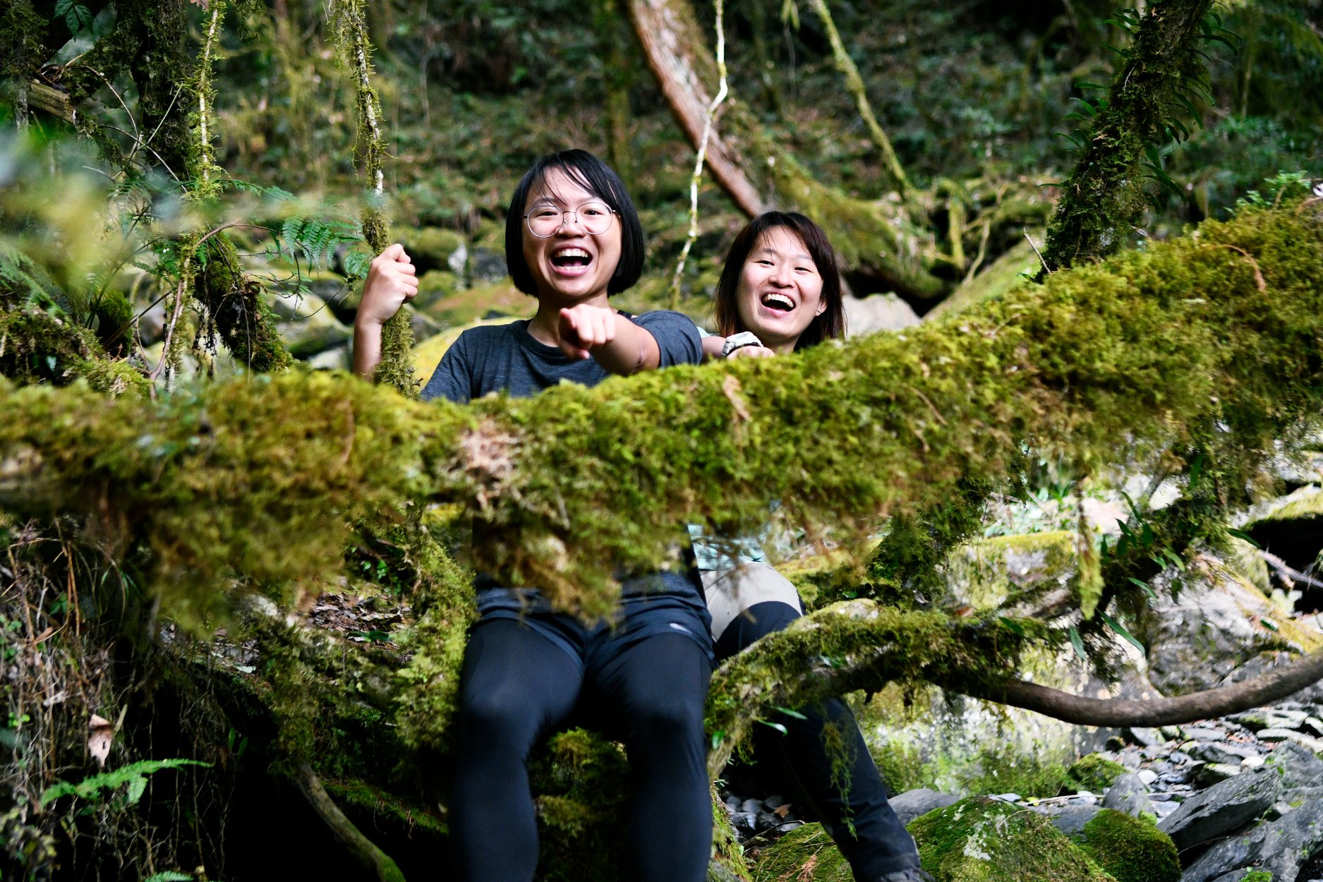 綠色魔幻之路：司馬庫斯古道