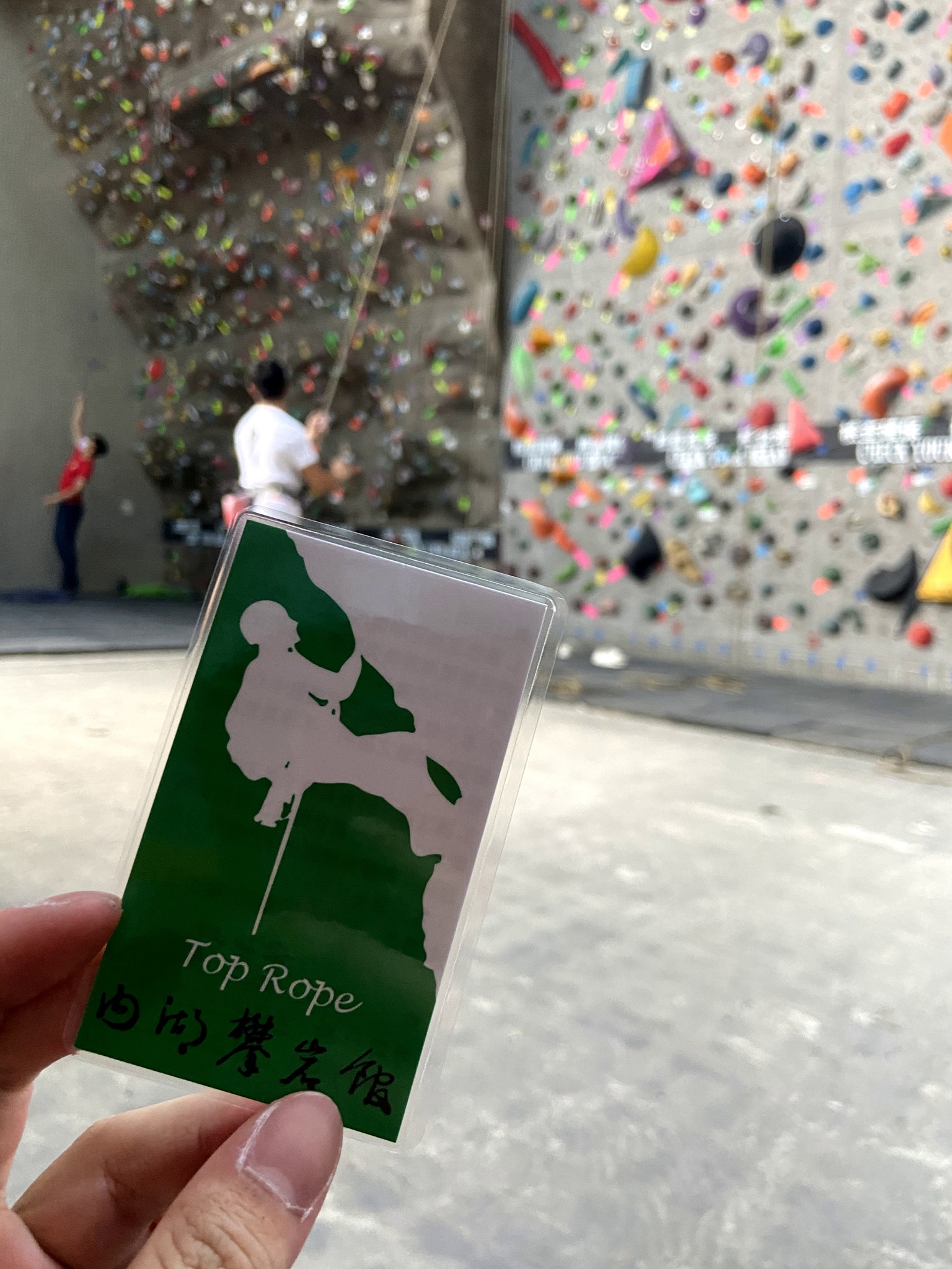 岩壁上的野兔呢喃