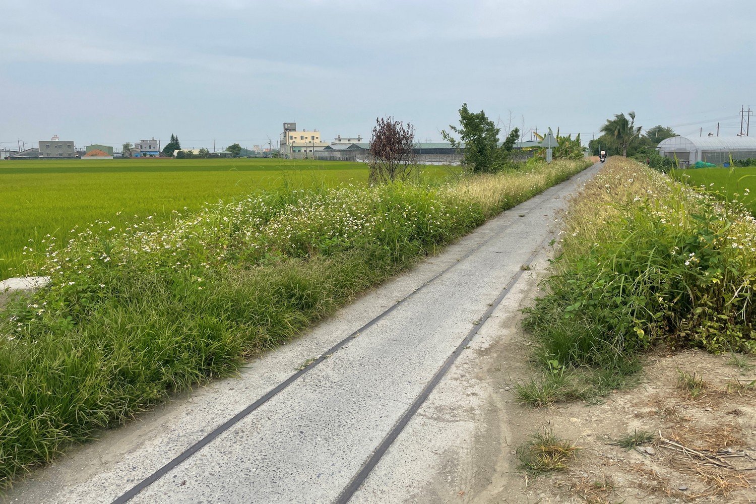 嘉南大圳番外篇：尋覓東洋製糖鐵道