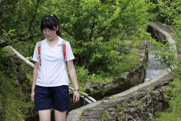 草山水道溯源。尋覓十八挖水圳