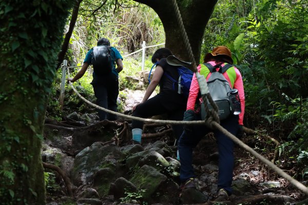 再訪陽明山水道：小大屯猴崁十八分