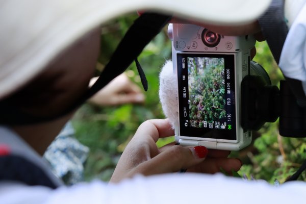 久違南國：浸水營古道輕健行